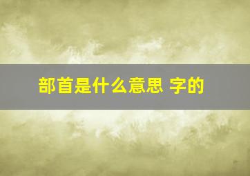 部首是什么意思 字的